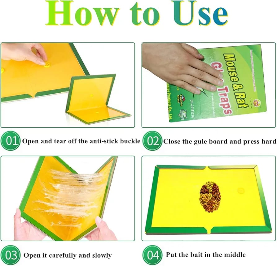 Mouse Glue Trap Book