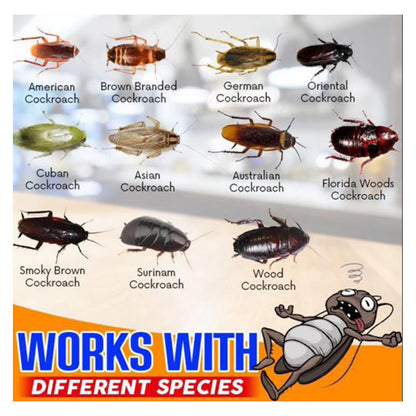 Roach Doctor Cockroach Control Gel Syringe