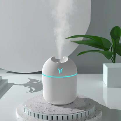 Mini Air Humidifier & Cool Mist Diffuser, 250ml