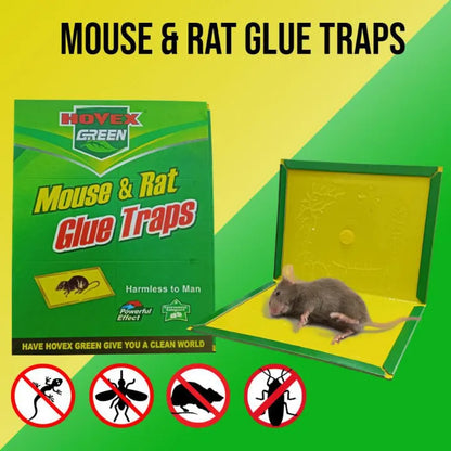 Mouse Glue Trap Book