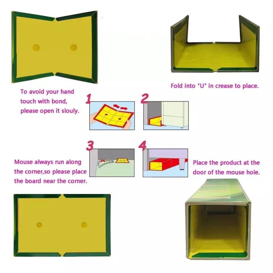 Mouse Glue Trap Book
