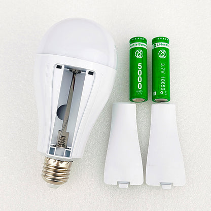 Rechargeable LED Bulb With Removable Battery