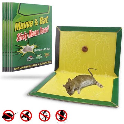 Mouse Glue Trap Book
